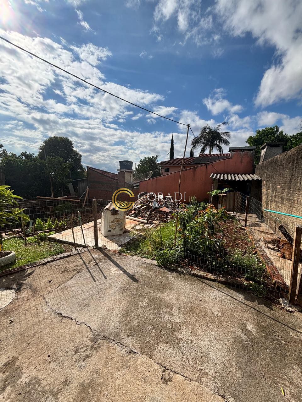 WhatsApp Image 2025-11-17 at 16.50.05