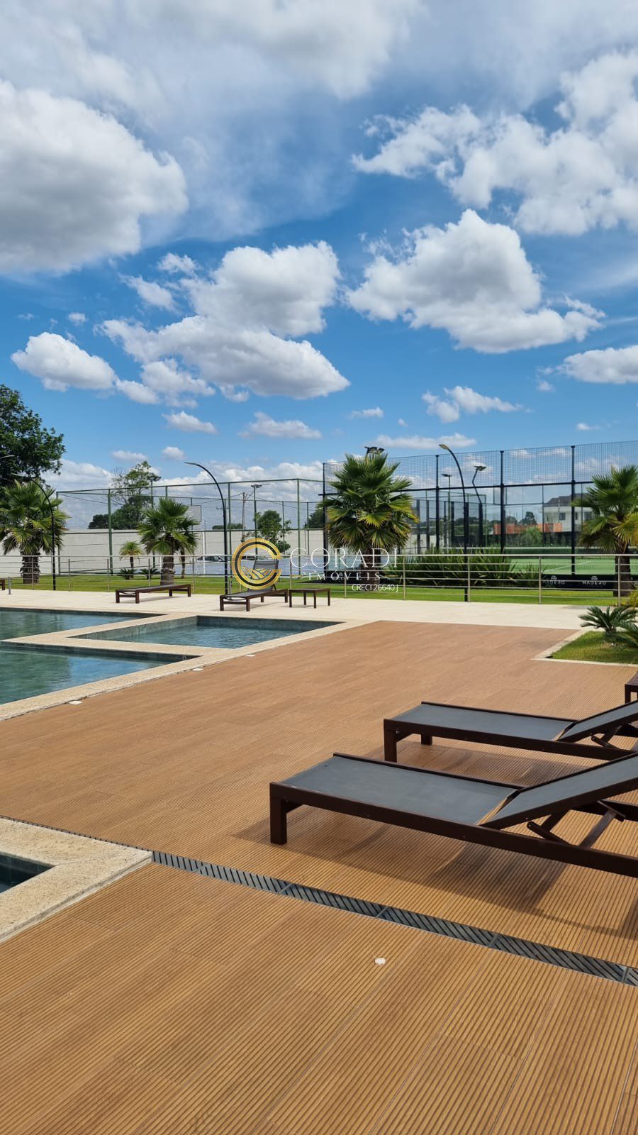 WhatsApp Image 2026-02-12 at 14.36.48 (1)