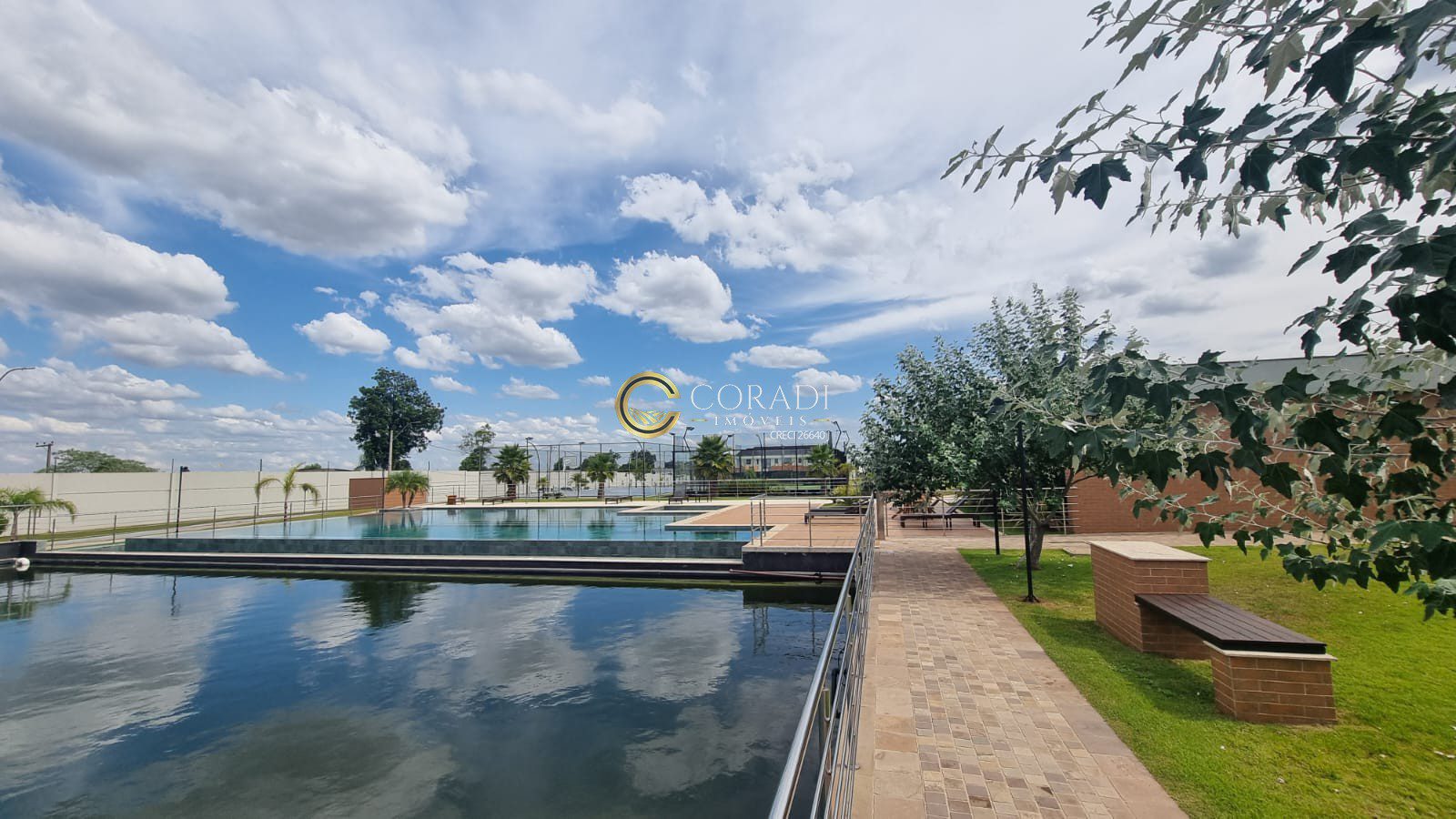 WhatsApp Image 2026-02-12 at 14.36.53